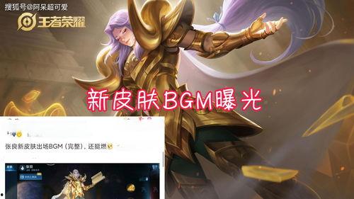 张良新皮肤最新爆料,神秘元素与古典美学完美融合